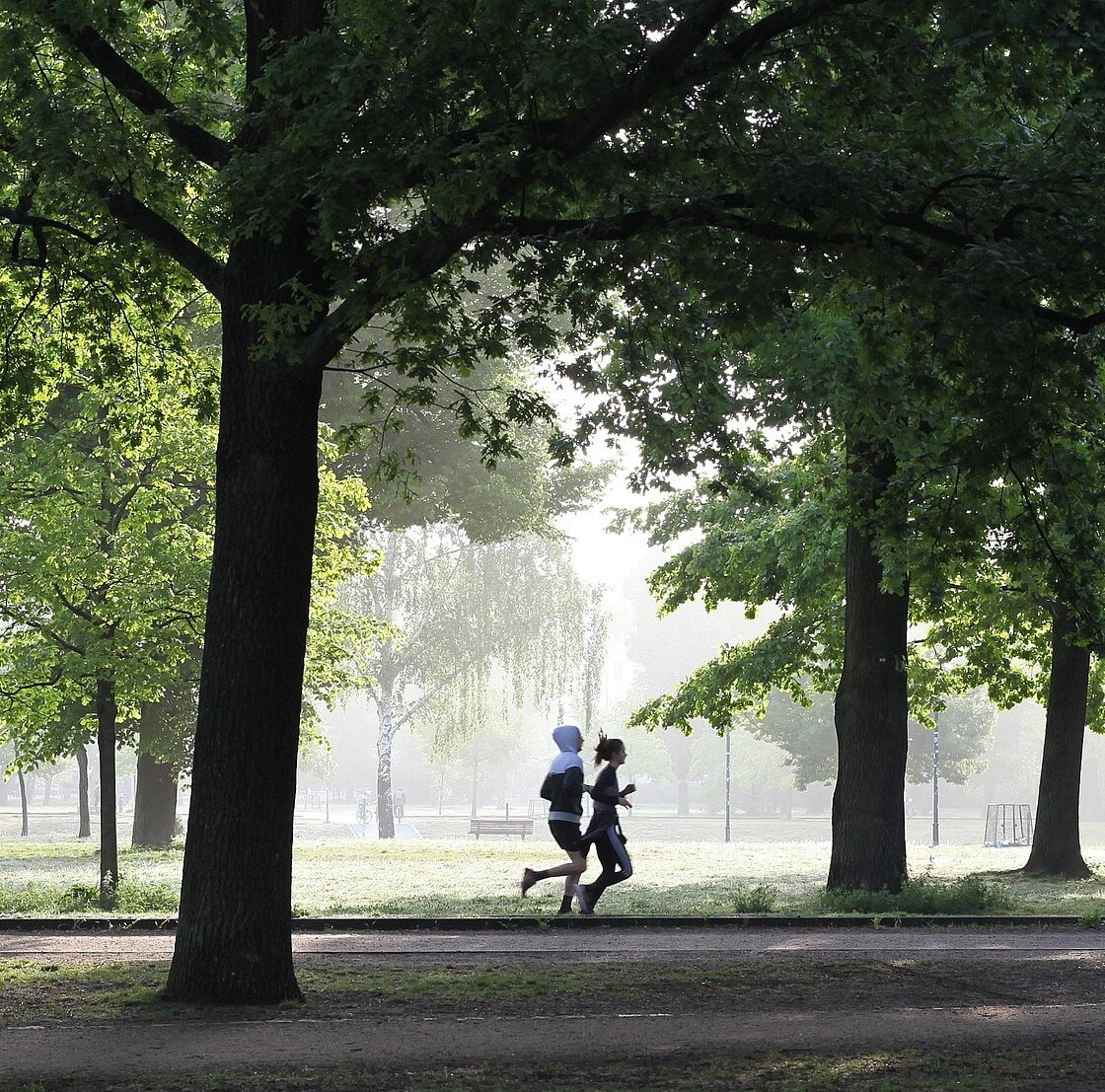 jogging dans le parc